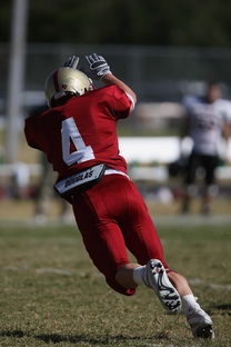 Kaiyun(中国)开云-意甲球队利用人工智能辅助赛前对手情报分析,意甲单赛季助攻记录