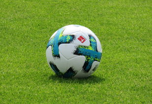 kaiyun开云入口平台-意甲球员视觉-空间判断力训练提升快速传导成功率,空间判断能力如何提高